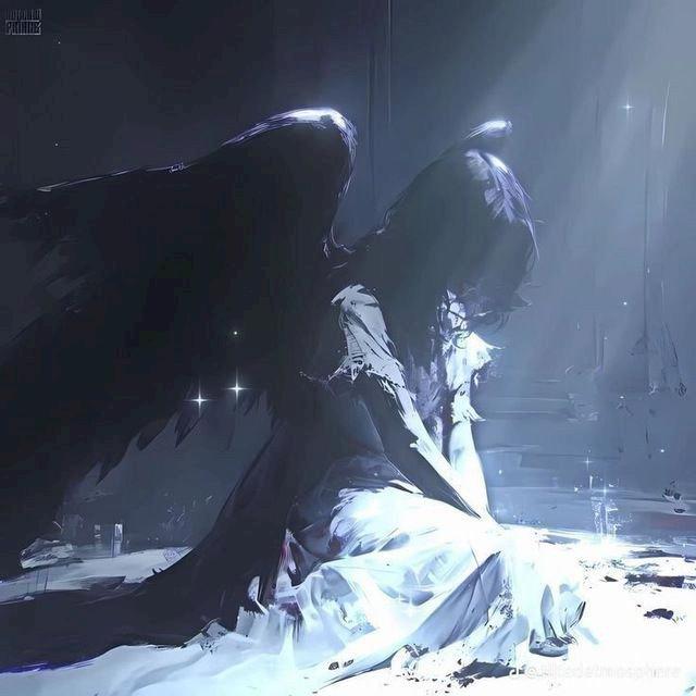 Фото профиля 𝐀𝐫𝐠𝐞𝐧𝐭𝐮𝐦 𝐫𝐚𝐦𝐞𝐧𝐭𝐚 