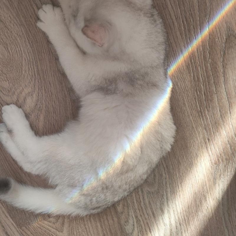 Фото профиля Мира