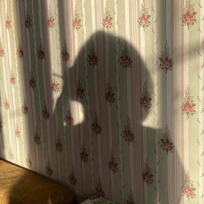 Фото профиля Морока