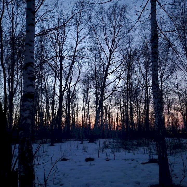 Фото профиля Aleksi