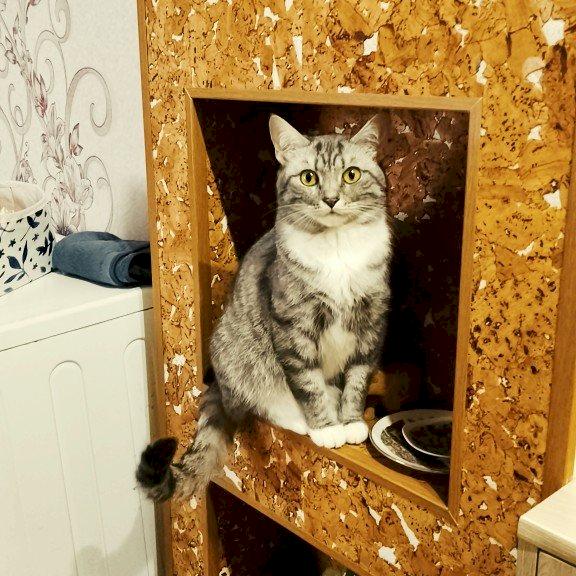 Фото профиля Брюс Ли