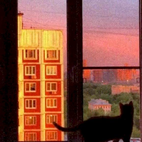 Фото профиля Безымянный
