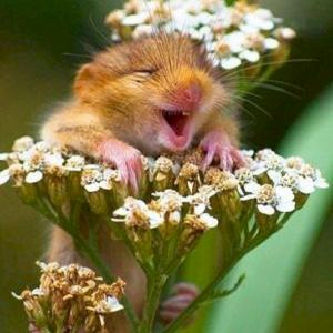 Фото профиля МаринаИв