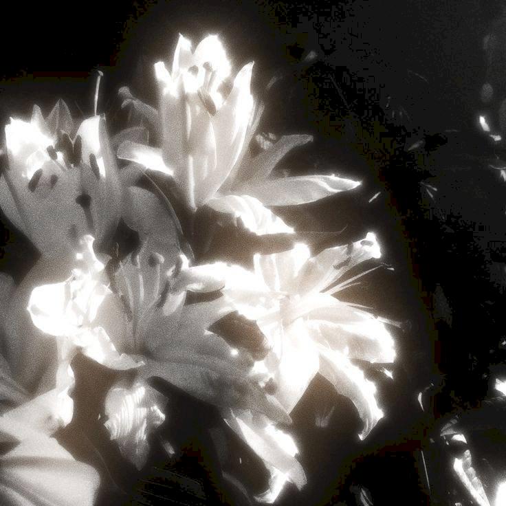 Фото профиля Leo