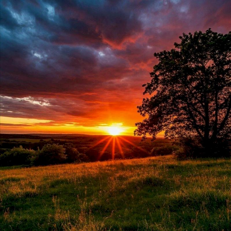 Фото профиля Yli