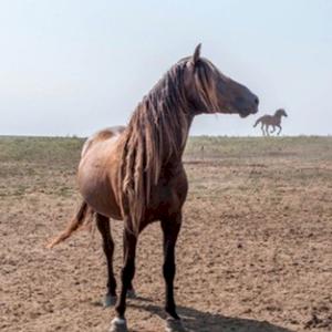 Фото профиля Галанова Татьяна