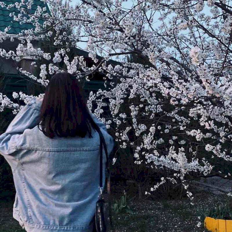 Фото профиля Элиза Верх 