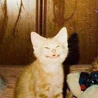 Фото профиля Долька Мандарина 