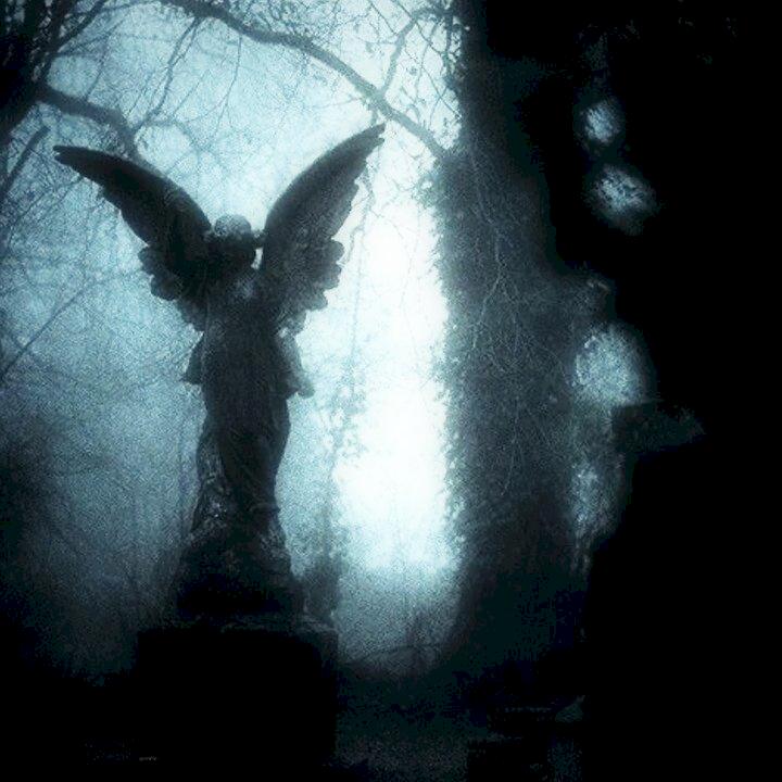 Фото профиля Fallen Angel