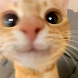 Фото профиля LyamiSa