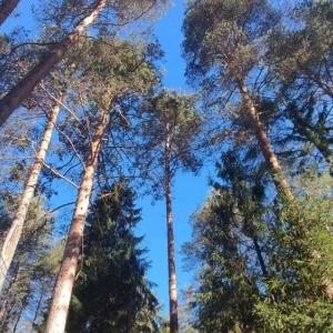 Фото профиля записки без чернил 