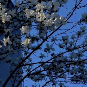 Фото профиля София 