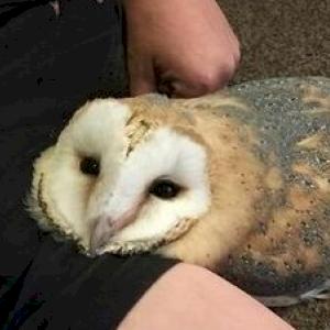 Фото профиля Нютик