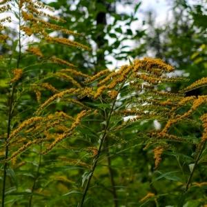 Фото профиля Dalres