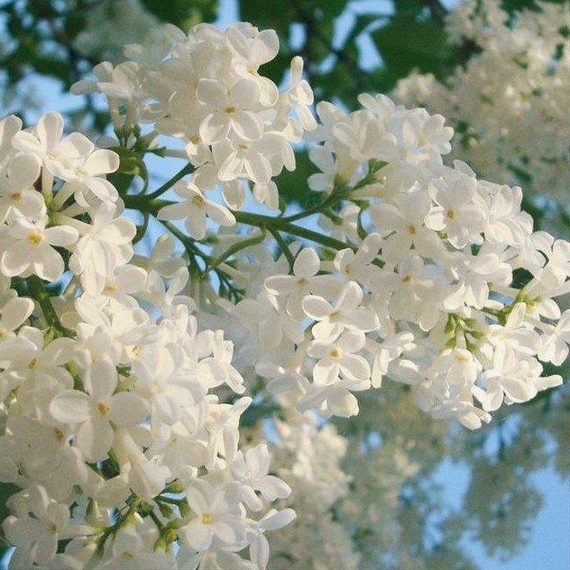 Фото профиля Анастасия Андреева