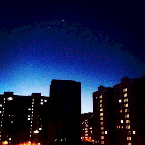 Фото профиля PALMFASE