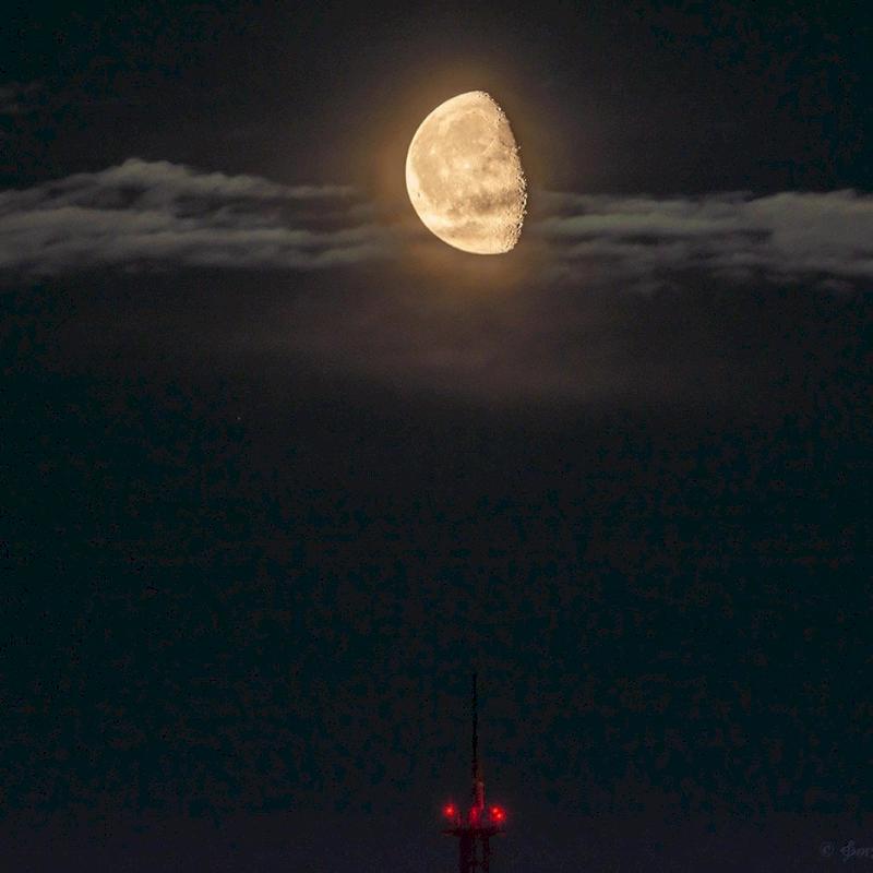 Фото профиля Bernadette