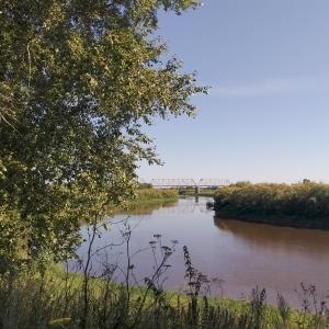 Фото профиля Николай Портнов