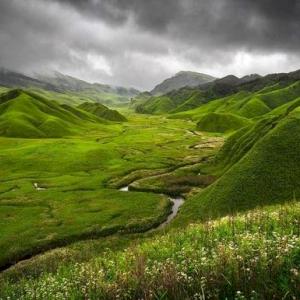 Фото профиля Лёвушка