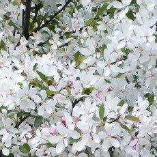 Фото профиля Пытаться