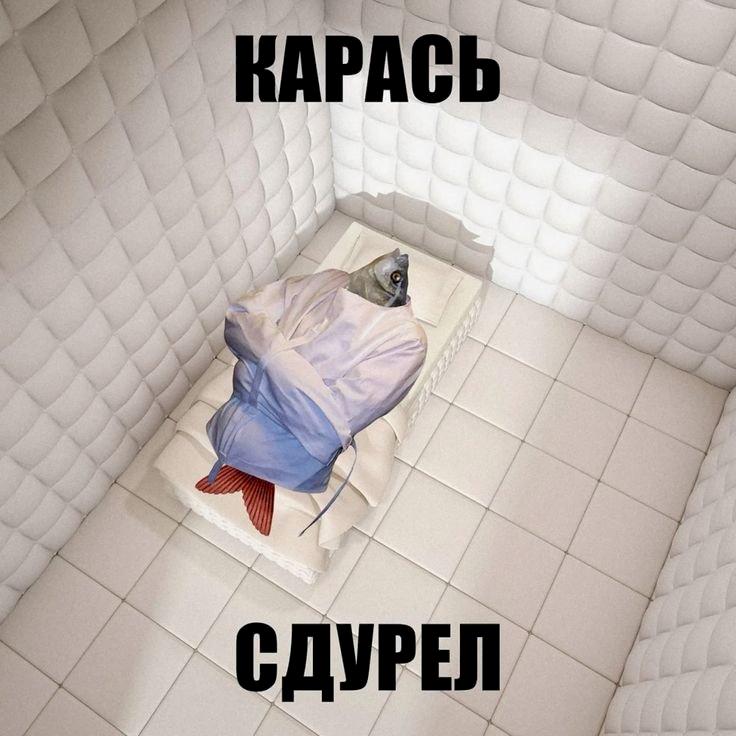 Фото профиля Kóra