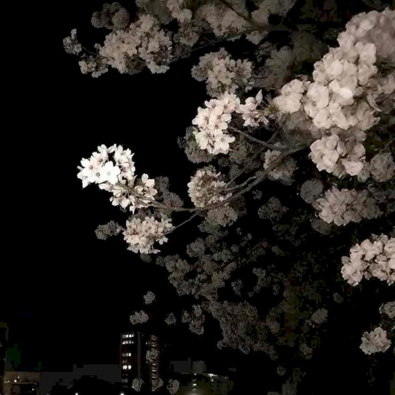 Фото профиля Нет любви