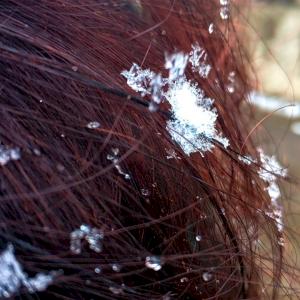 Фото профиля Lisa Oro