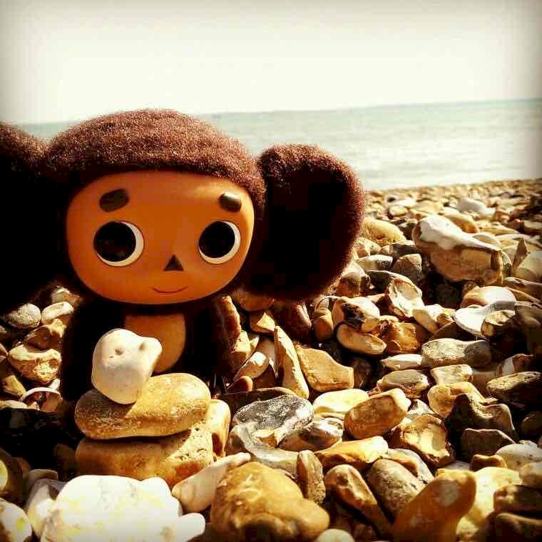 Фото профиля Нико Эль