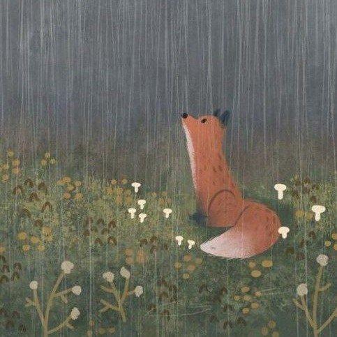 Фото профиля Артём Полуночный 