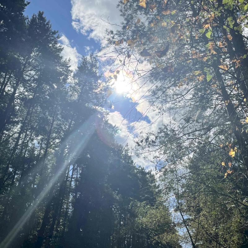 Фото профиля Балюра Сергей