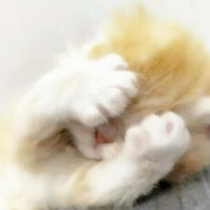 Фото профиля Анна Кроки