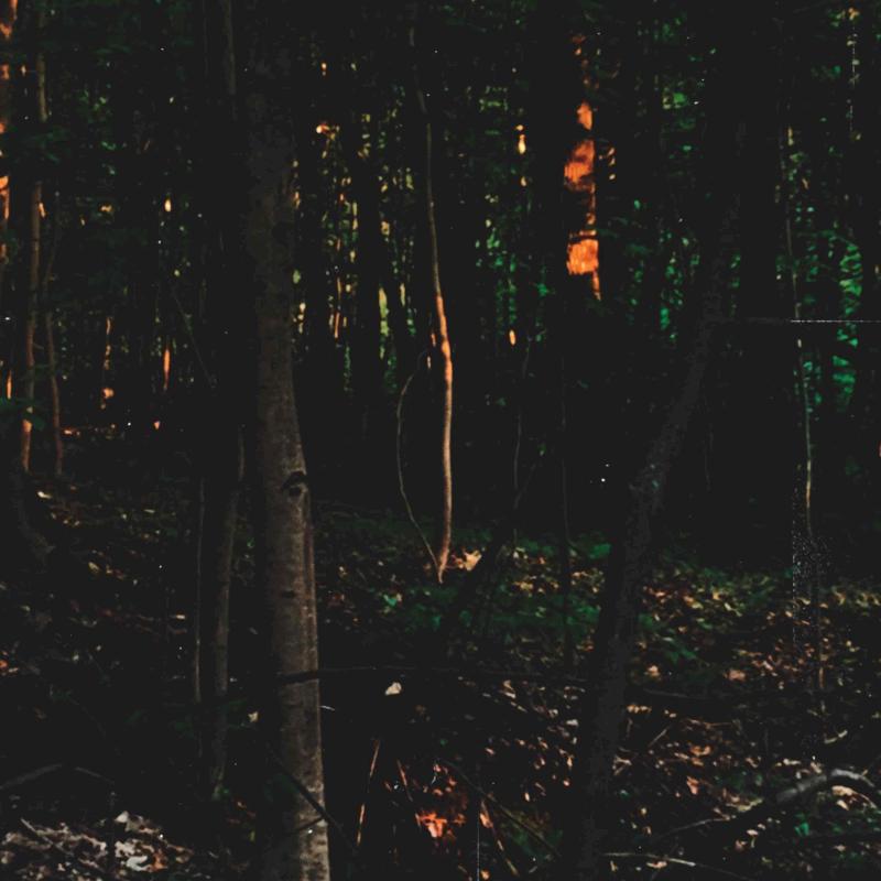 Фото профиля мертвый Е