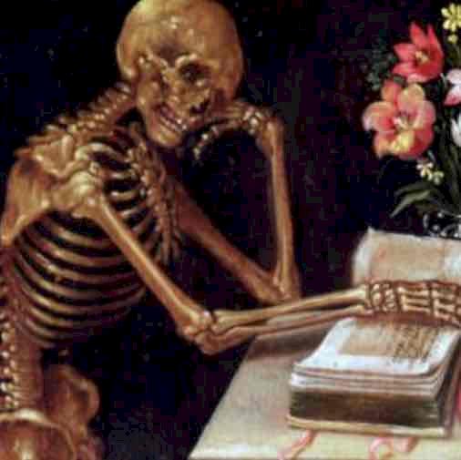 Фото профиля Nikita N