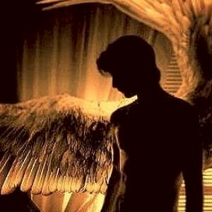 Фото профиля Евгения Фокс