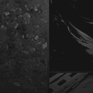 Фото профиля морис кирцайн  