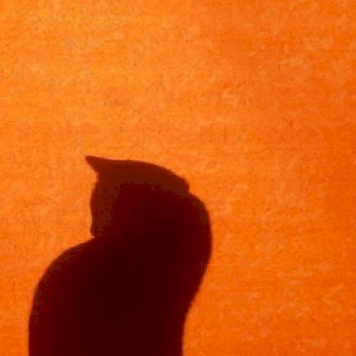 Фото профиля Иван