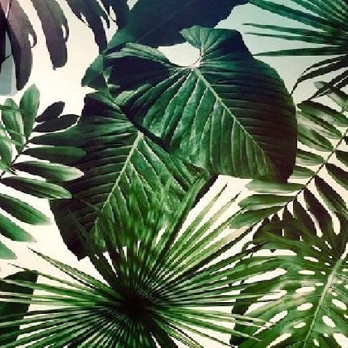 Фото профиля Nabokov Fleur