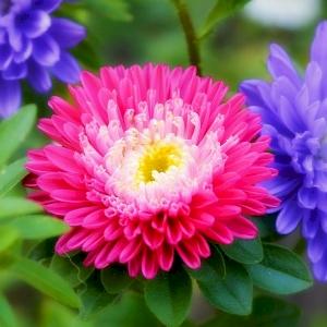 Фото профиля Дарья Мессинёва