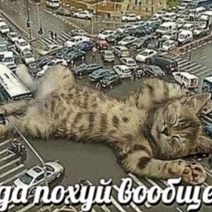 Фото профиля Медианхолик 