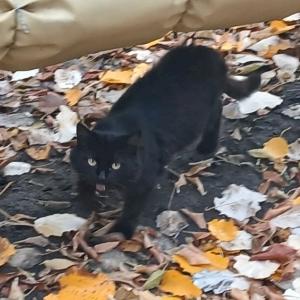 Фото профиля Руслан Гайсин