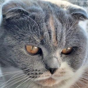 Фото профиля Демид Шнякин