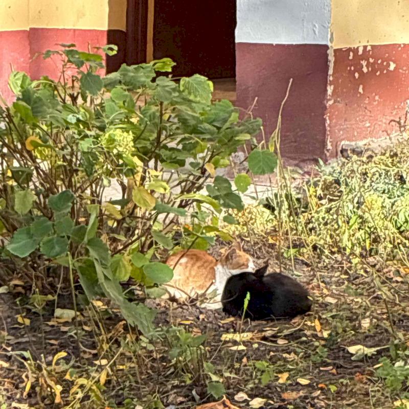 Фото профиля Дарима