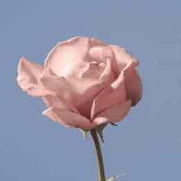 Фото профиля Щербаков Савва