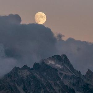 Фото профиля 𝓜𝓸𝓸𝓷𝓵𝓮𝓼𝓼