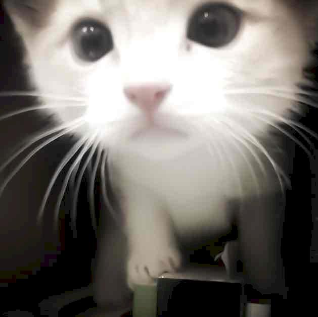 Фото профиля Willie feel