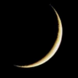 Фото профиля Дэймон  Фридом