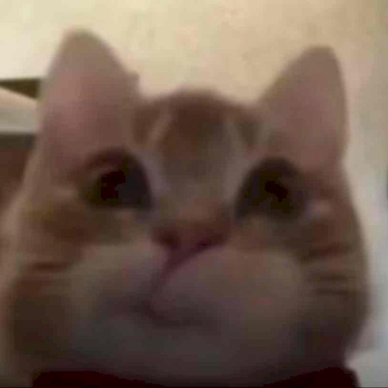 Фото профиля Vrode_Dasha