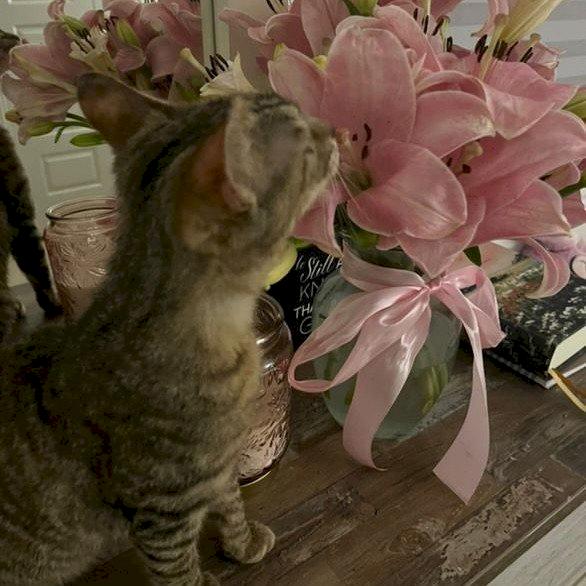 Фото профиля Yunna