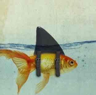 Фото профиля Re San 