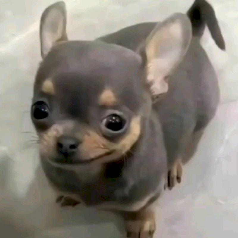 Фото профиля Пита